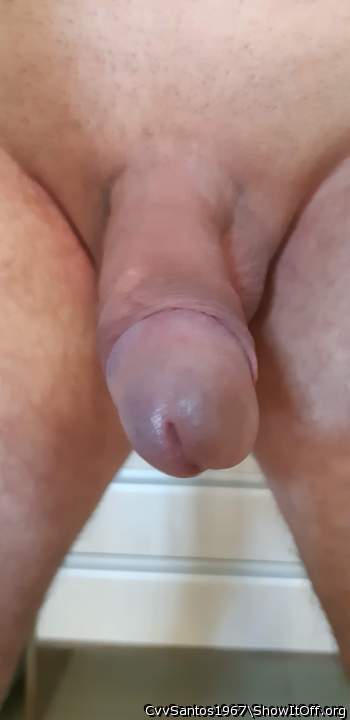 Photo of a middle leg from CvvSantos1967