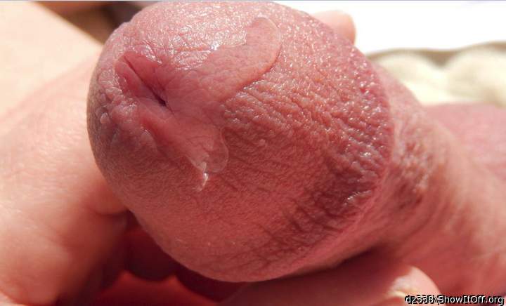 Great closeup!!  