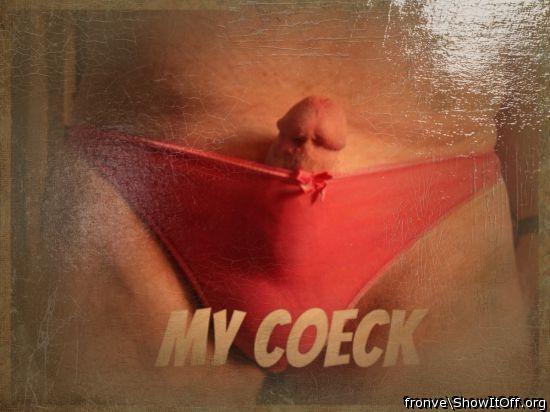 my coek in panties