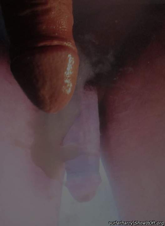 Photo of a schlong from surferharry