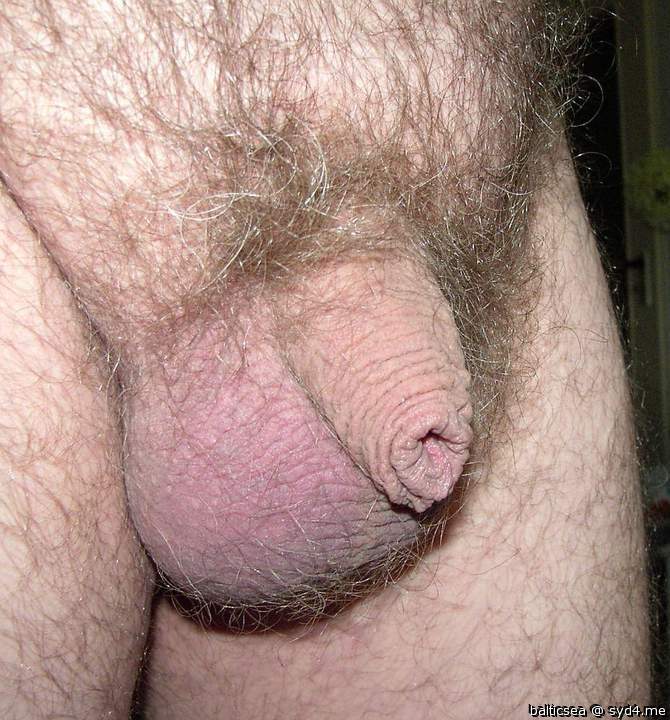 Nice hairy balls 