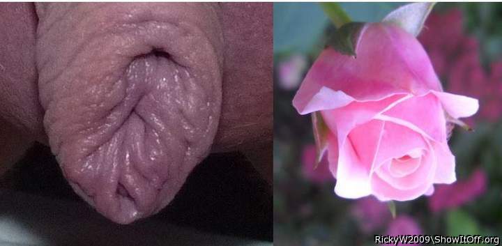 Two Rosebuds