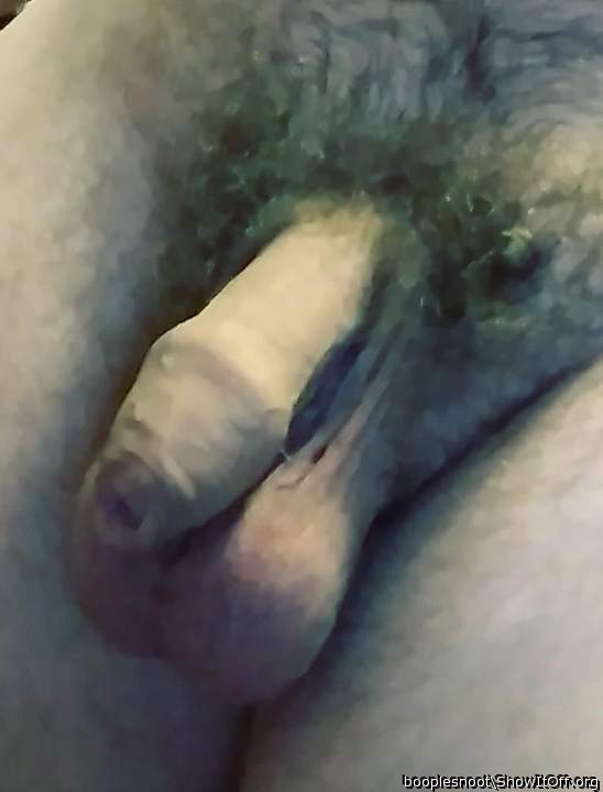 Photo of a dong from booplesnoot