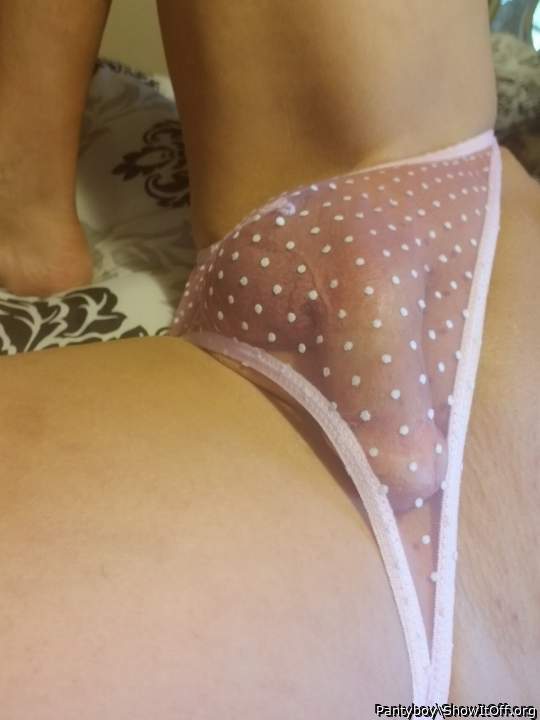 Photo of a cock from Pantyboy