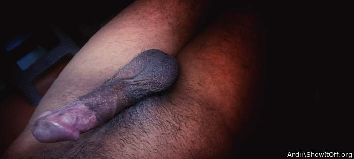 Photo of a bat from Andii