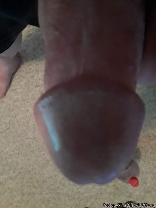 Photo of a bat from footguy77ia