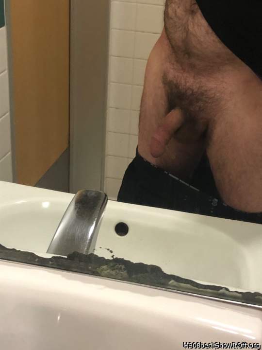 Photo of a middle leg from M308ben