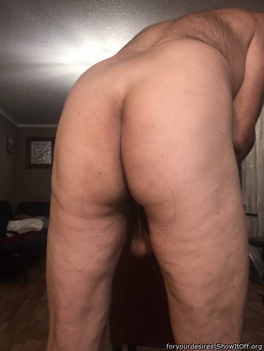Photo of a cavalier from foryourdesires