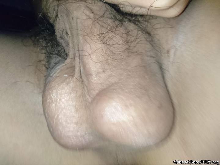Photo of a hot dog from chinese