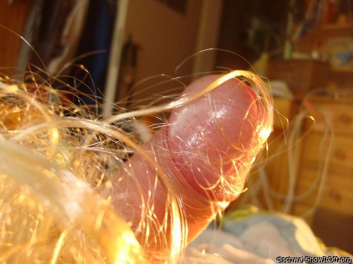 Photo of a purple headed monster from dischwa