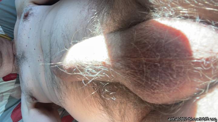 hot hairy balls