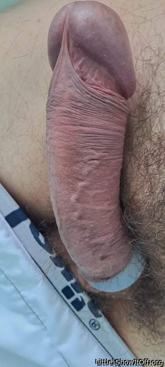 Photo of a cock from Little