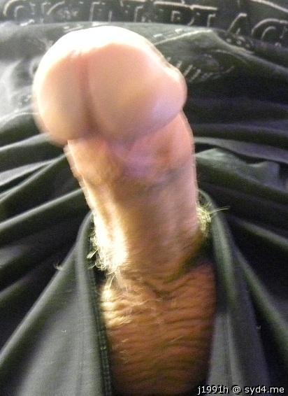 Photo of a pecker from J1991h