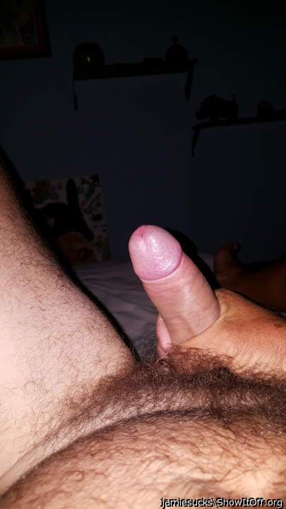 Photo of a bat from jamiesucks