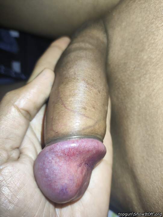 Photo of a middle leg from topgun