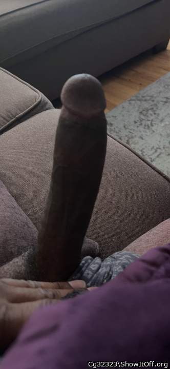 Photo of a cock from Cg32323