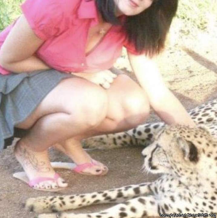 Here puss puss....