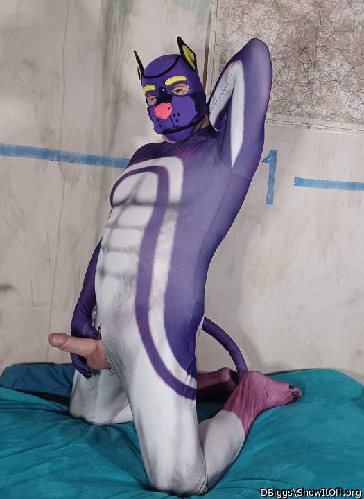 WOOF, can puppy come out and play?