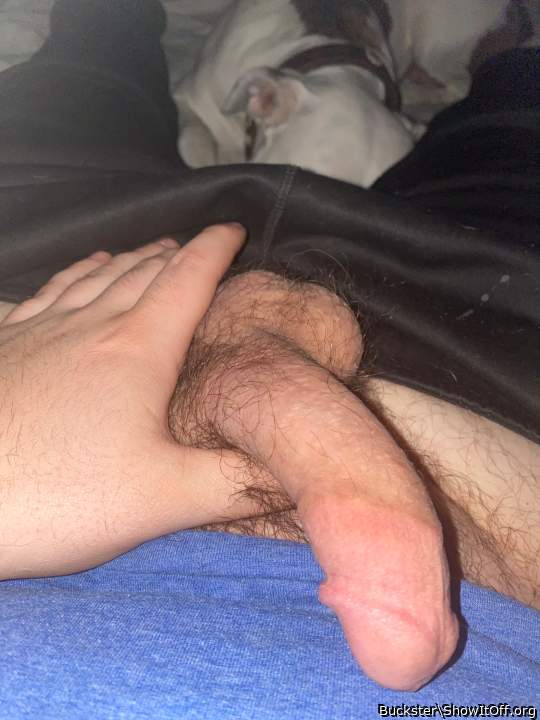 HAVEN'T SEEN YOU FOR AWHILE!! 