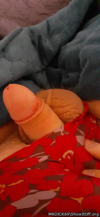 Photo of a weasel from MRDICK69