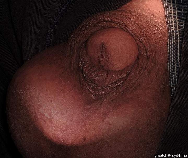 Photo of a bat from greatct