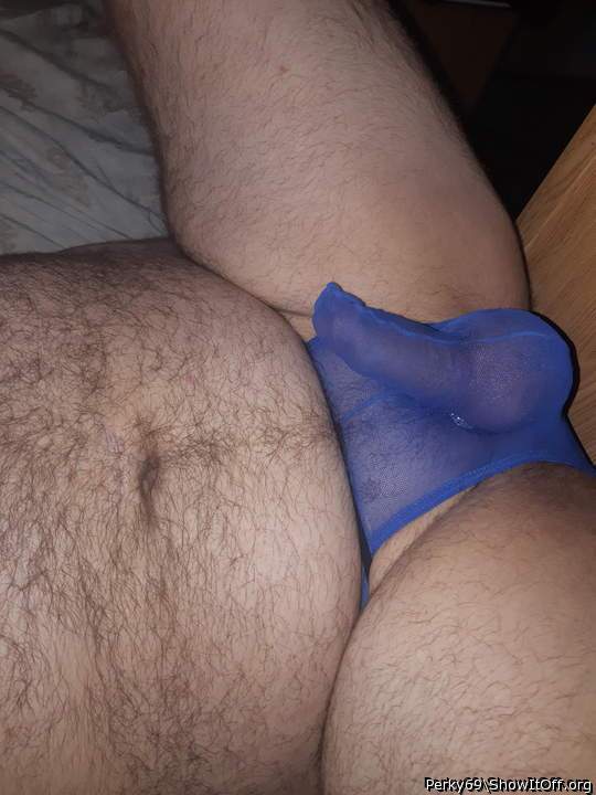 Photo of a rooster from Perky69