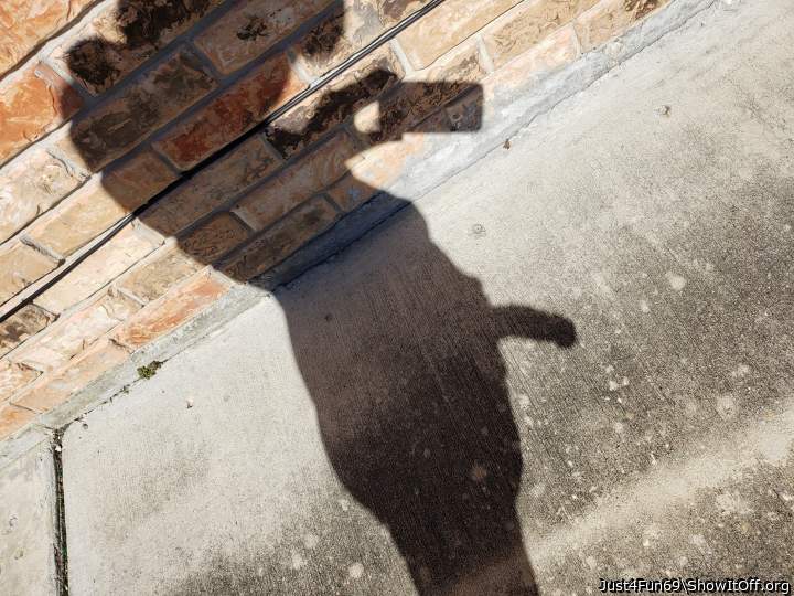 Cock Shadow