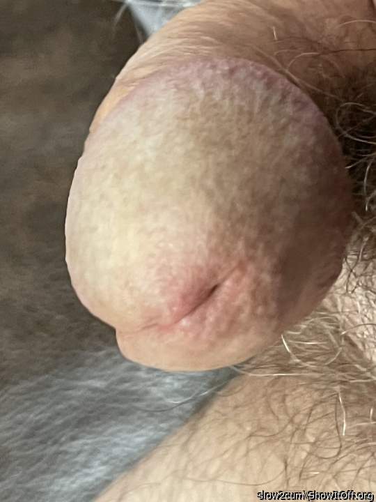 Photo of a hot dog from slow2cum