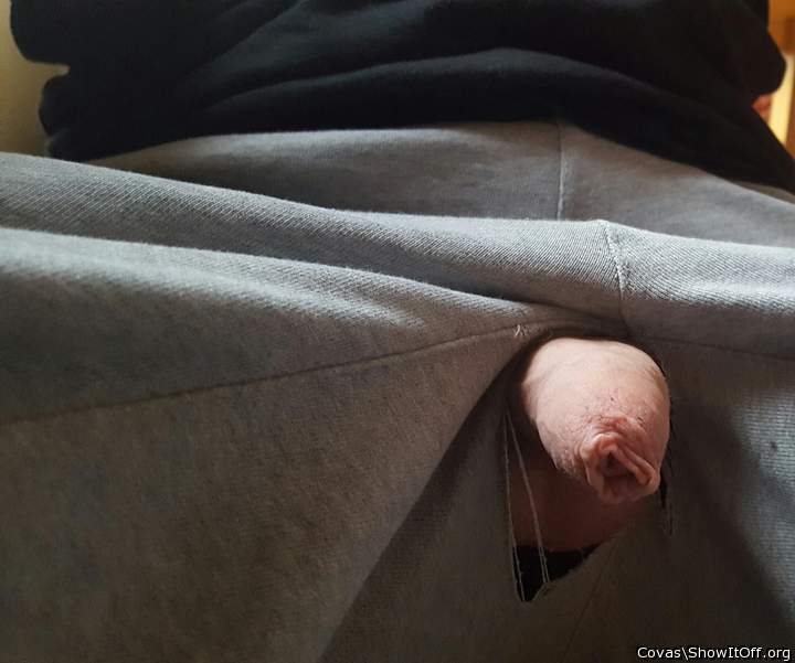 Photo of a sausage from covas