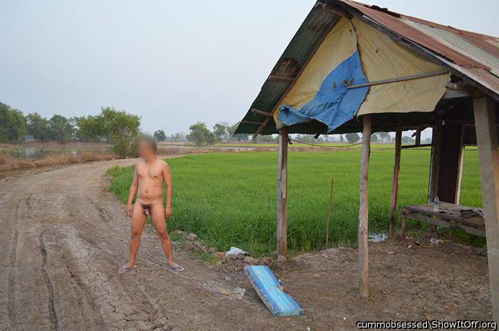 By the paddies field
