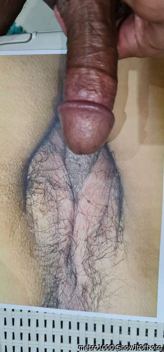 Photo of a cock from metro1000