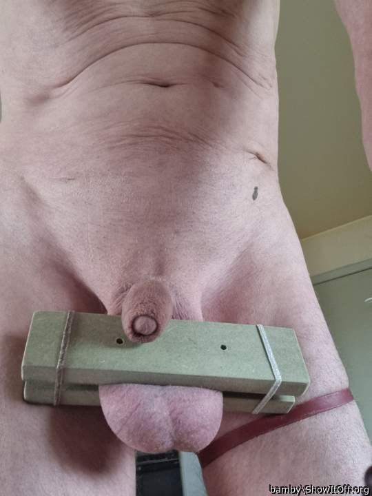 Photo of a wiener from bamby