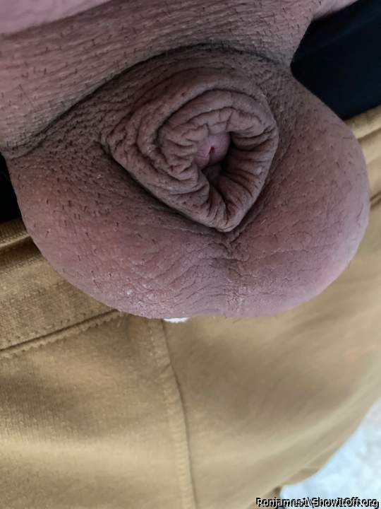 Photo of a pecker from Ronjames1
