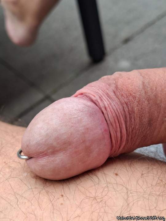 Photo of a penis from Mshuttle
