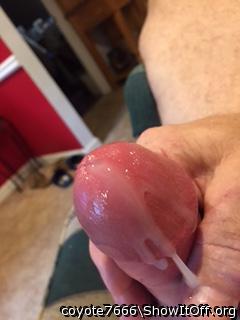Nice and fat cock