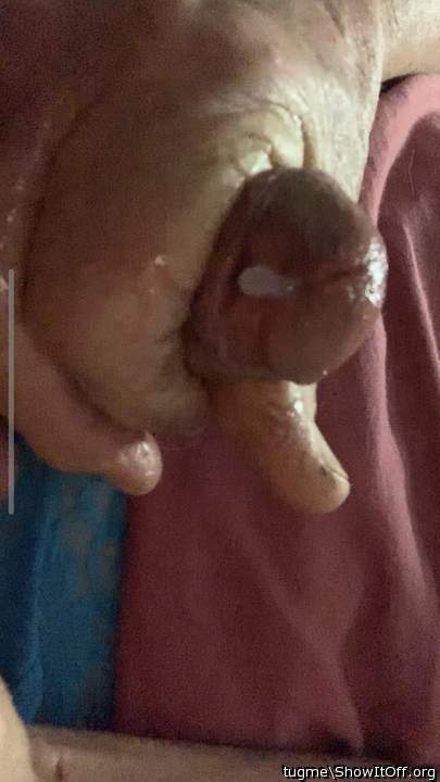 Photo of a phallus from tugme