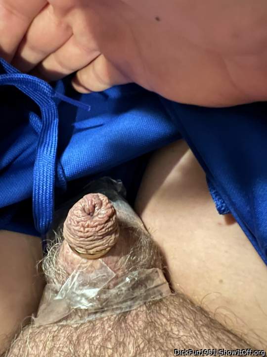 Photo of a snake from DickFun1981
