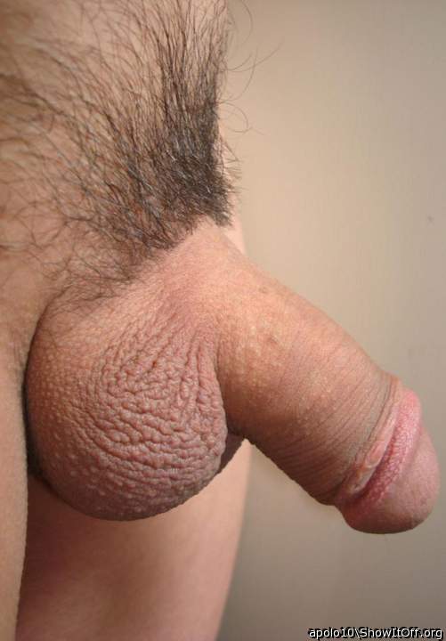 Photo of a third leg from apolo10