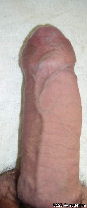 Photo of a snake from 0123