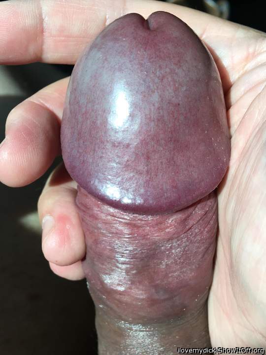 Photo of a rooster from ilovemydick