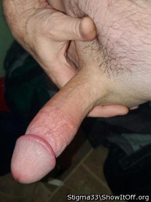 Photo of a python from Stigma33