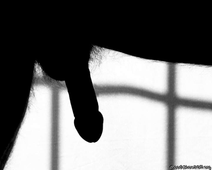 Cock  Silhouette