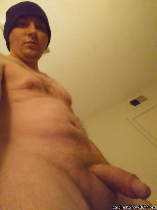 Photo of a one-eyed monster from cardinal
