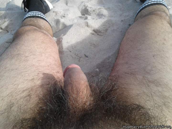 Let me sniff you!