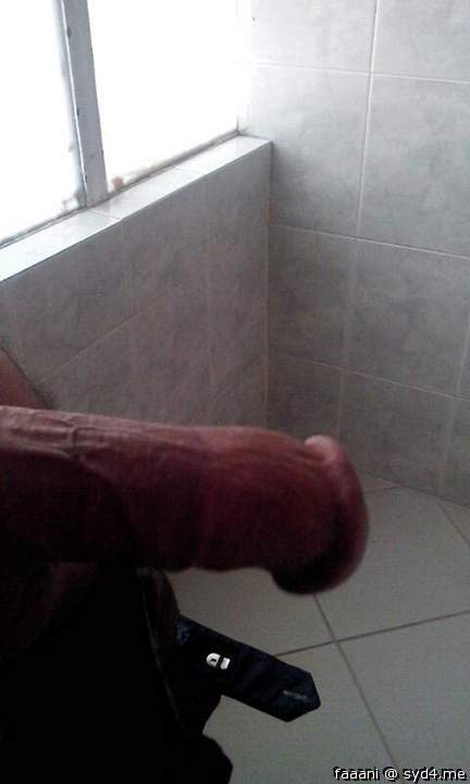 Photo of a middle leg from faaani