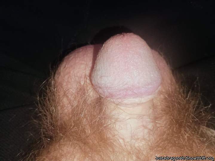Photo of a meat stick from Justadragon40