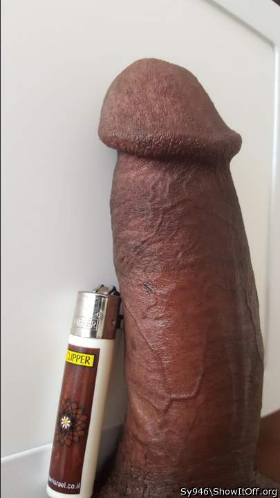 Photo of a middle leg from Sy946