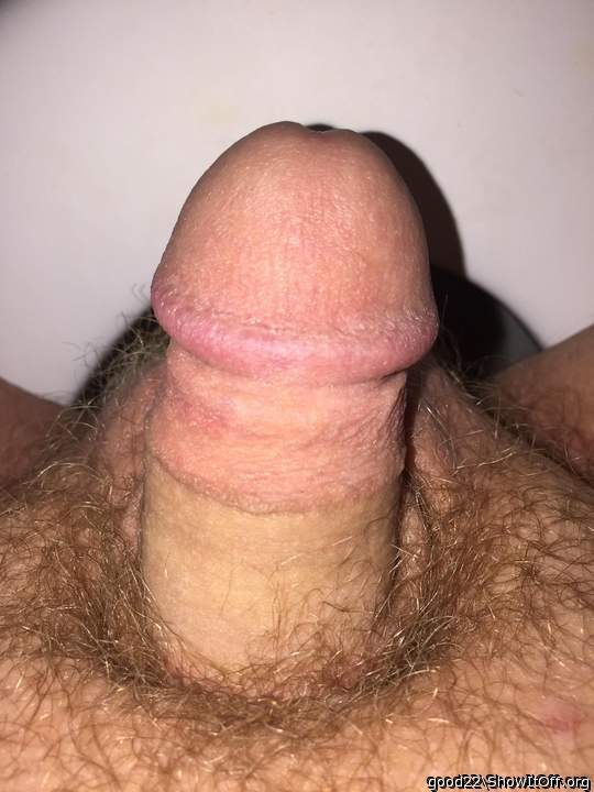 beautiful cock   