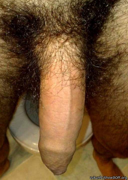 Photo of a hot dog from zukunft