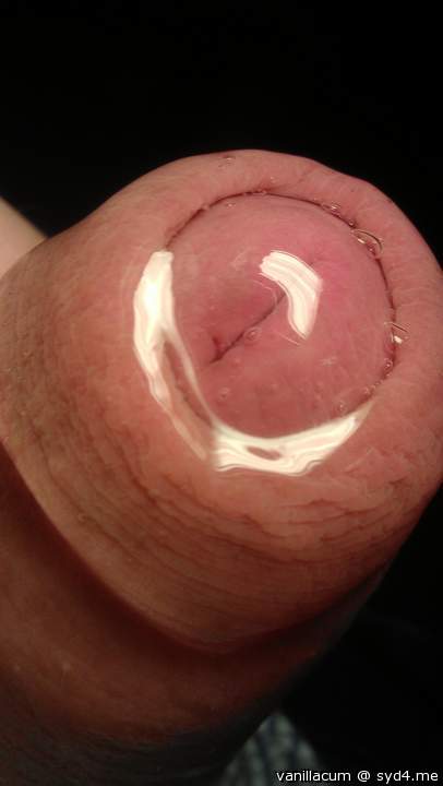 Photo of a third leg from Vanillacum